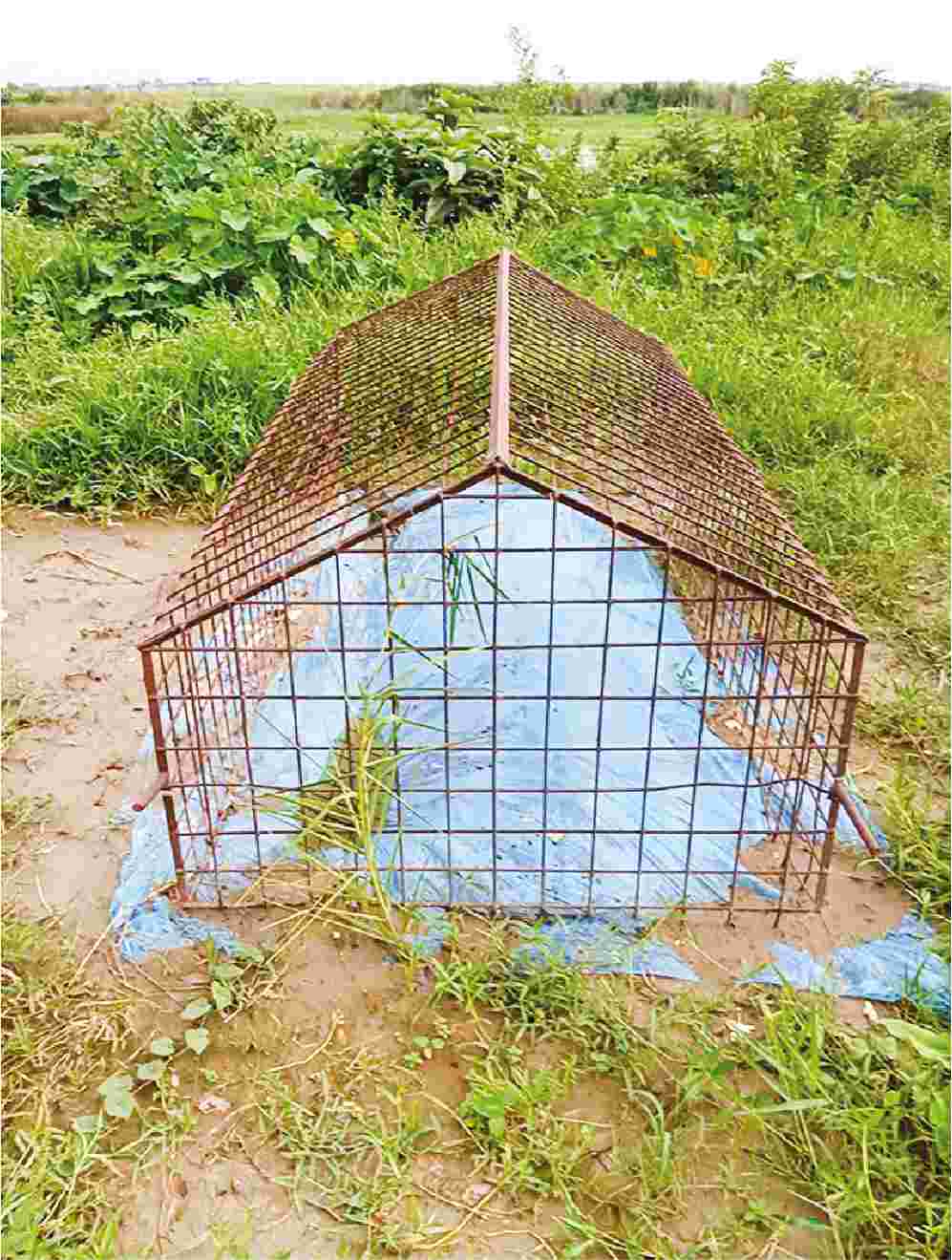 Image of ওবায়দুল ইসলাম